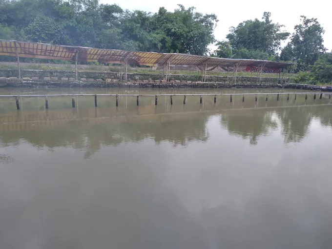 Galeri Desa Kedungwonokerto 1